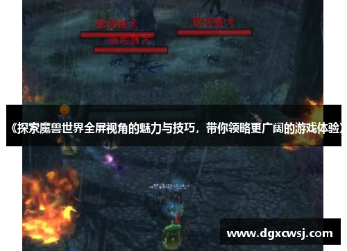 《探索魔兽世界全屏视角的魅力与技巧，带你领略更广阔的游戏体验》